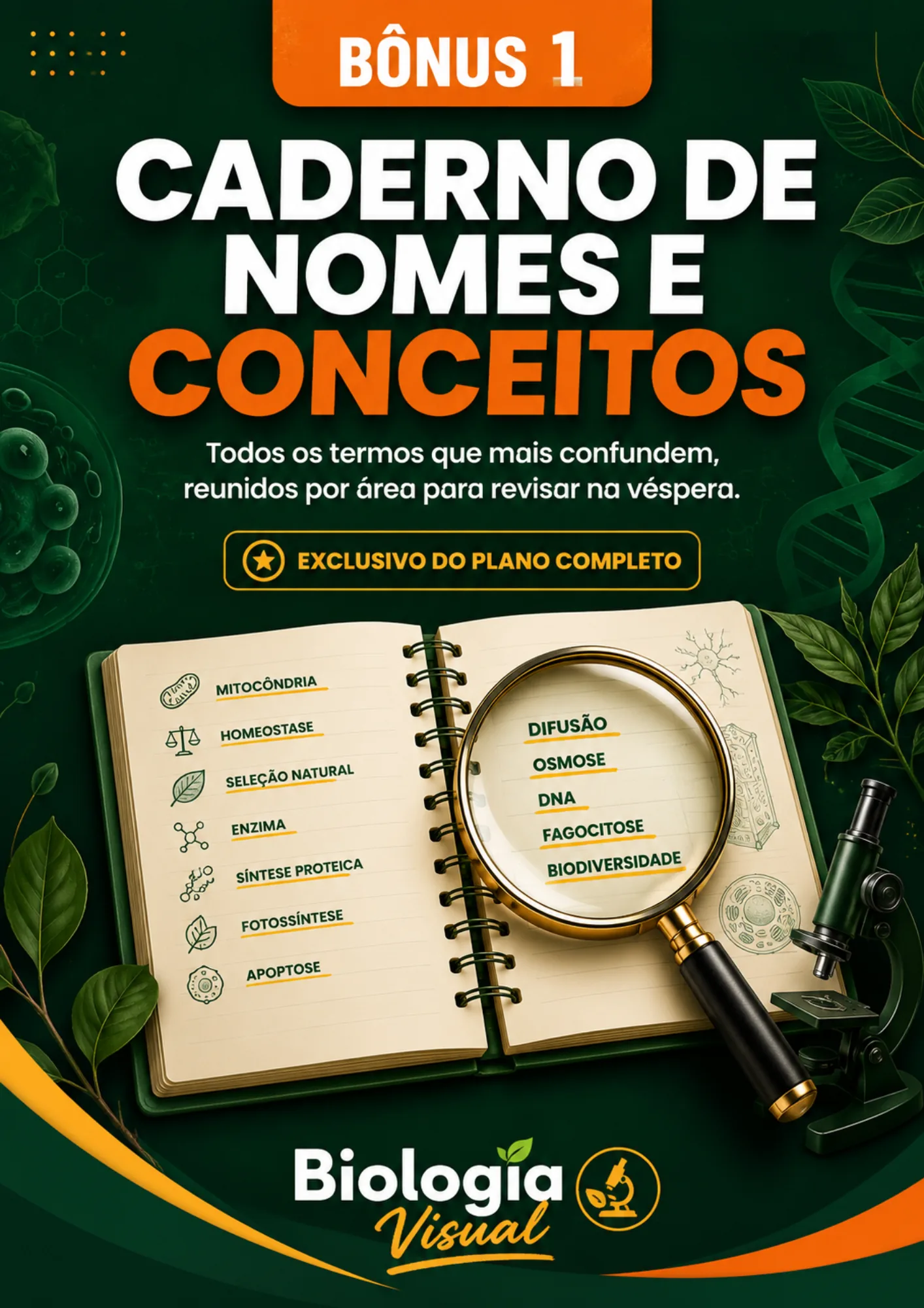 Bônus 1 — Caderno de Nomes e Conceitos