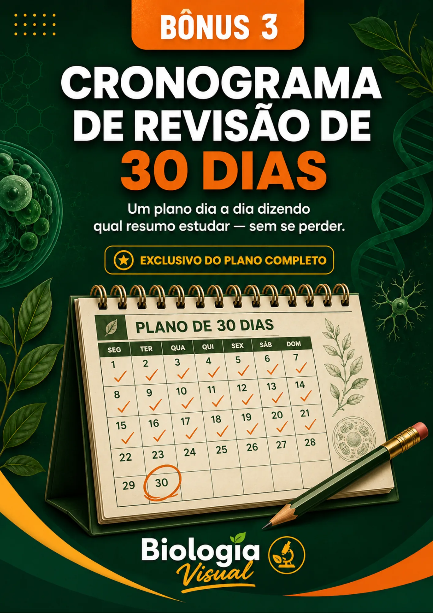Bônus 3 — Cronograma de 30 Dias