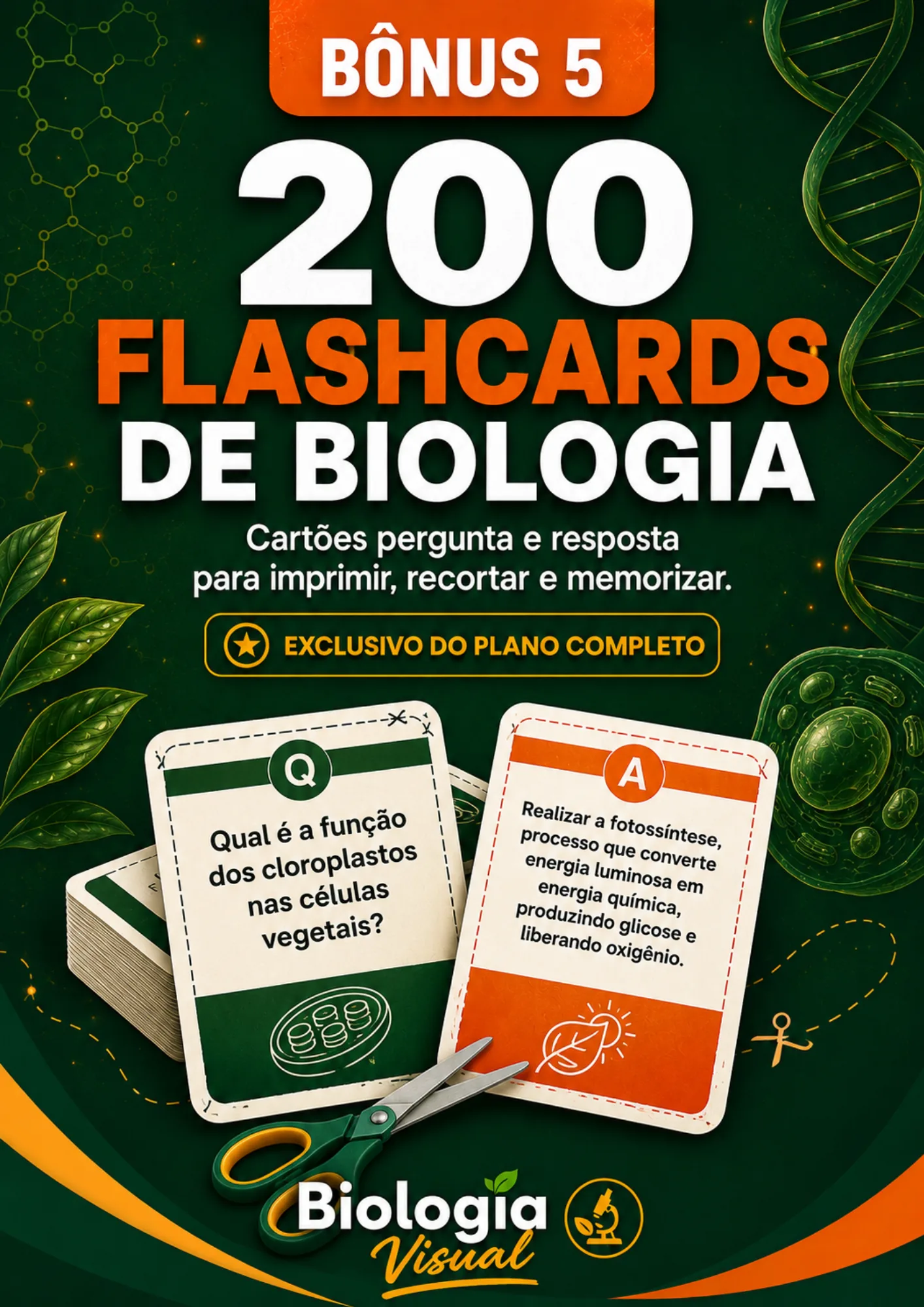 Bônus 5 — 200 Flashcards