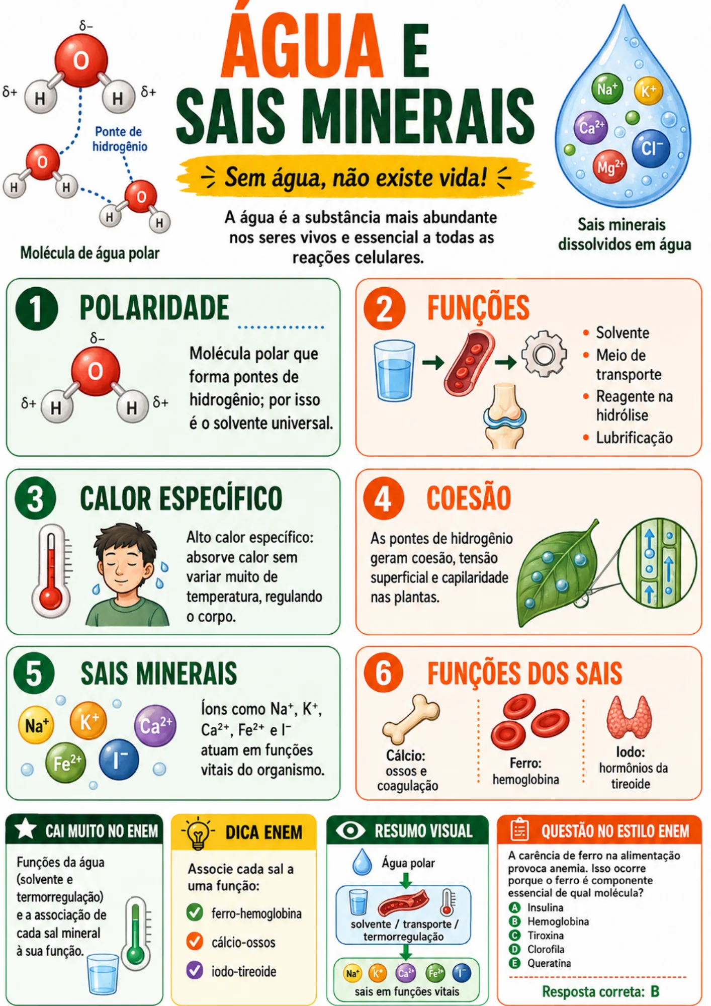 Resumo visual de Biologia