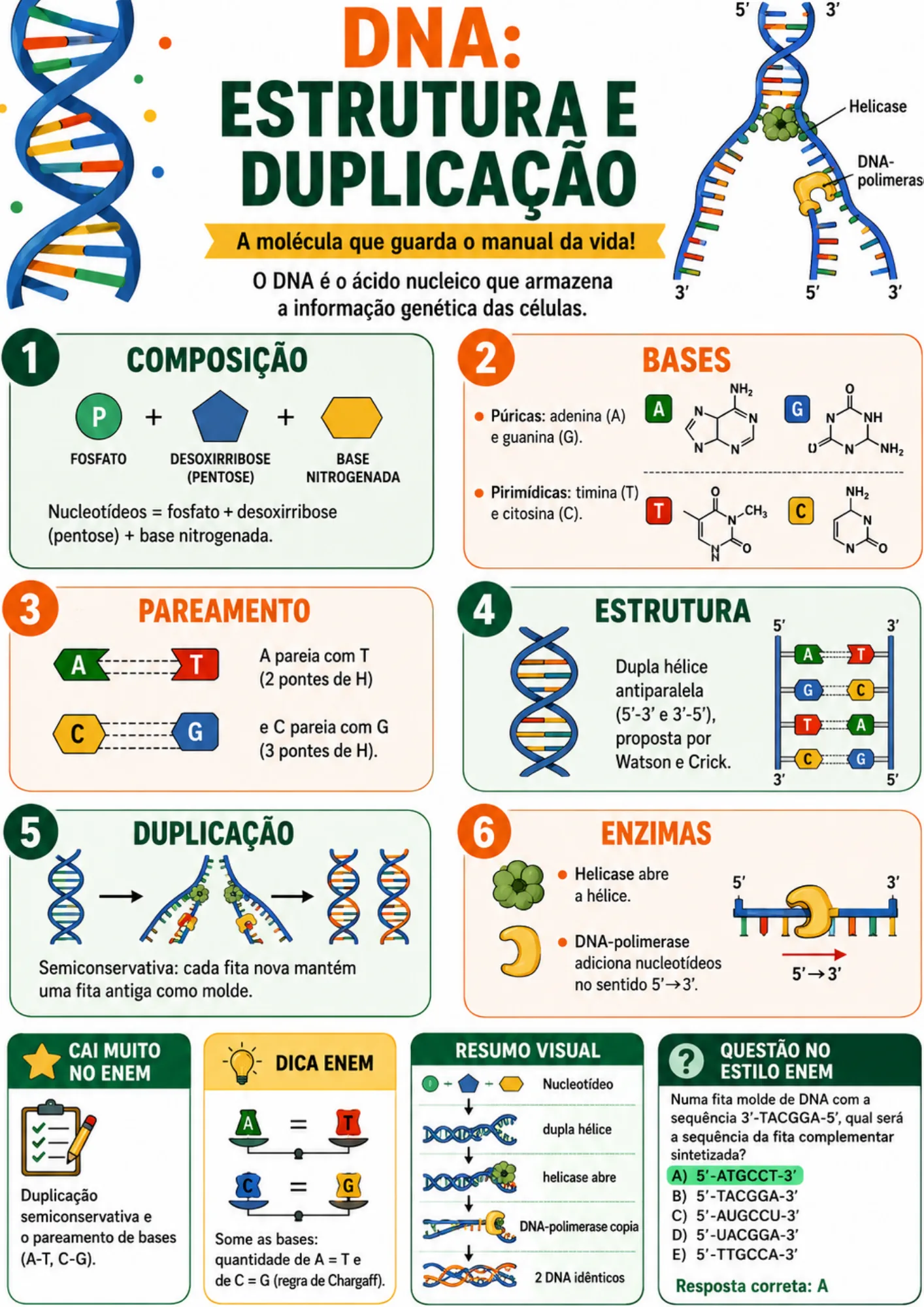 Resumo visual de Biologia