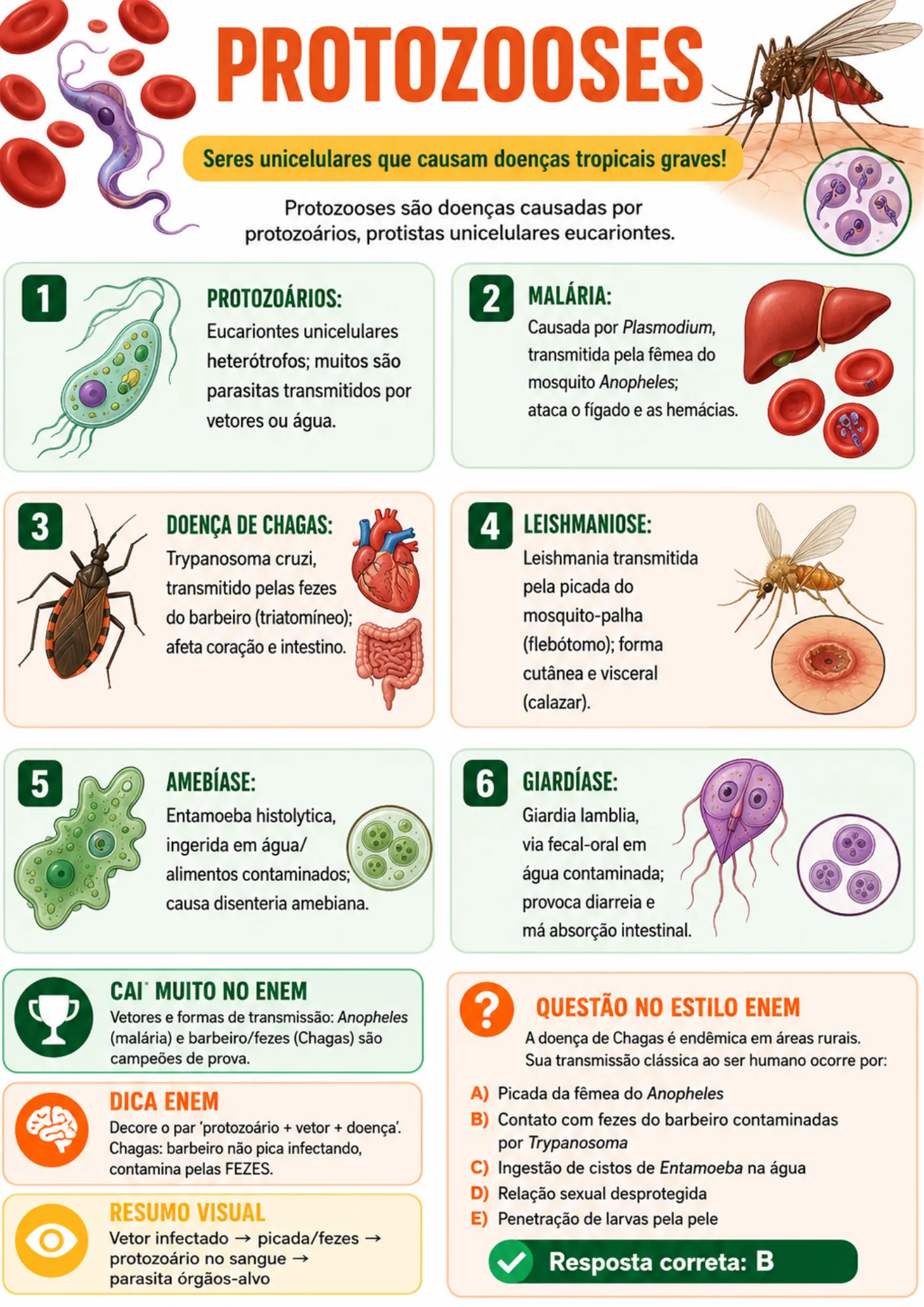 Módulo Microbiologia e Saúde