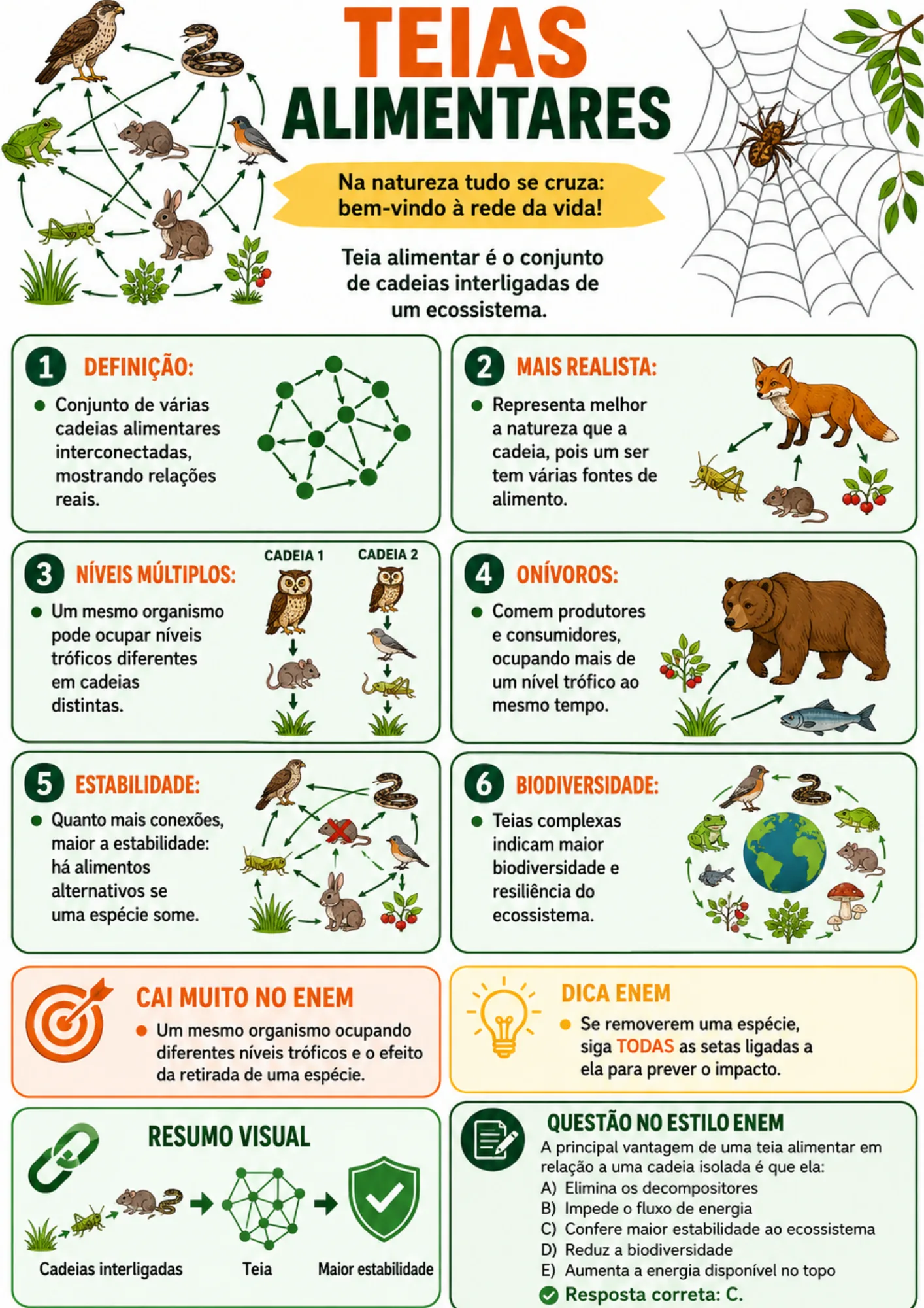 Resumo visual de Biologia
