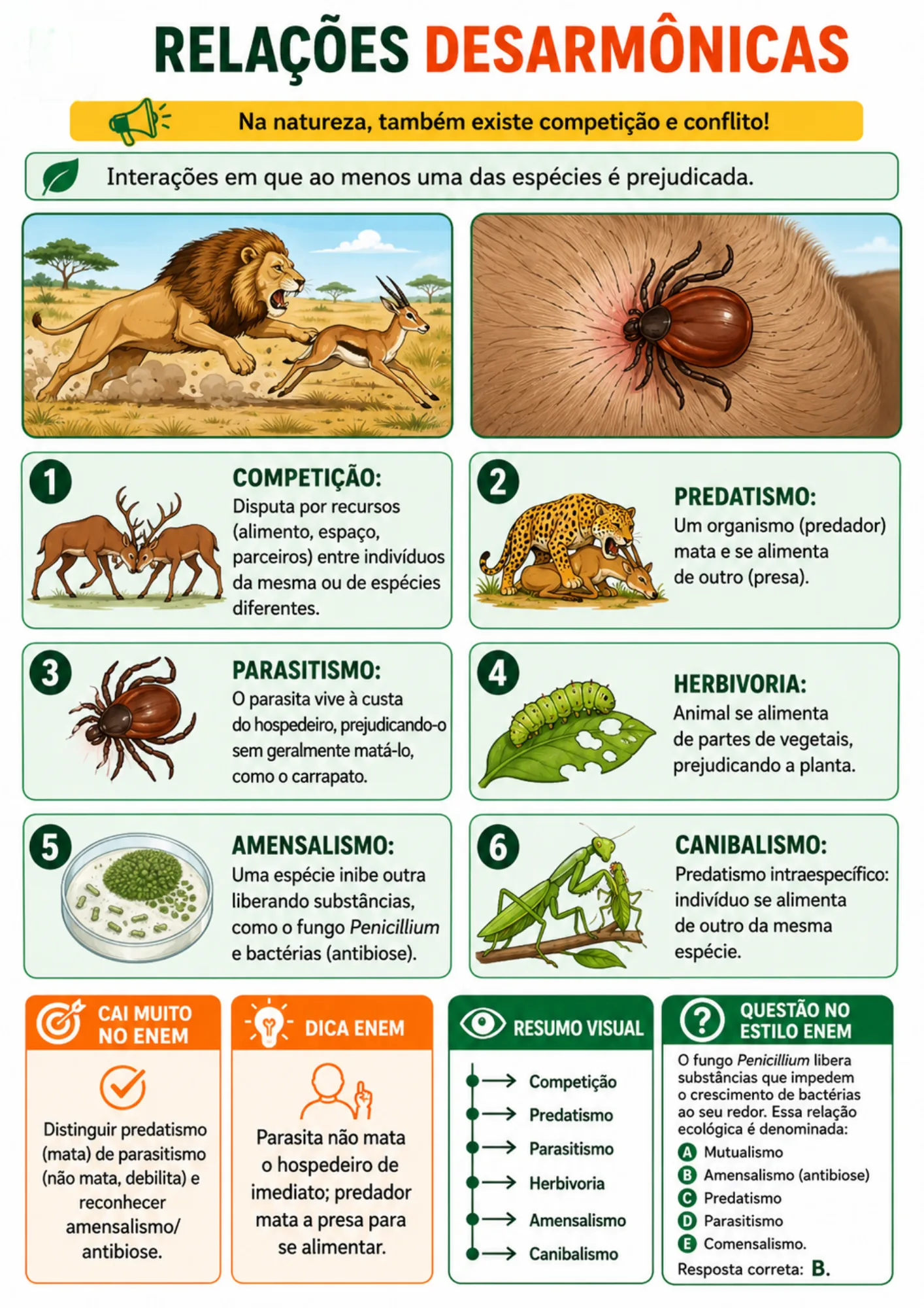 Resumo visual de Biologia
