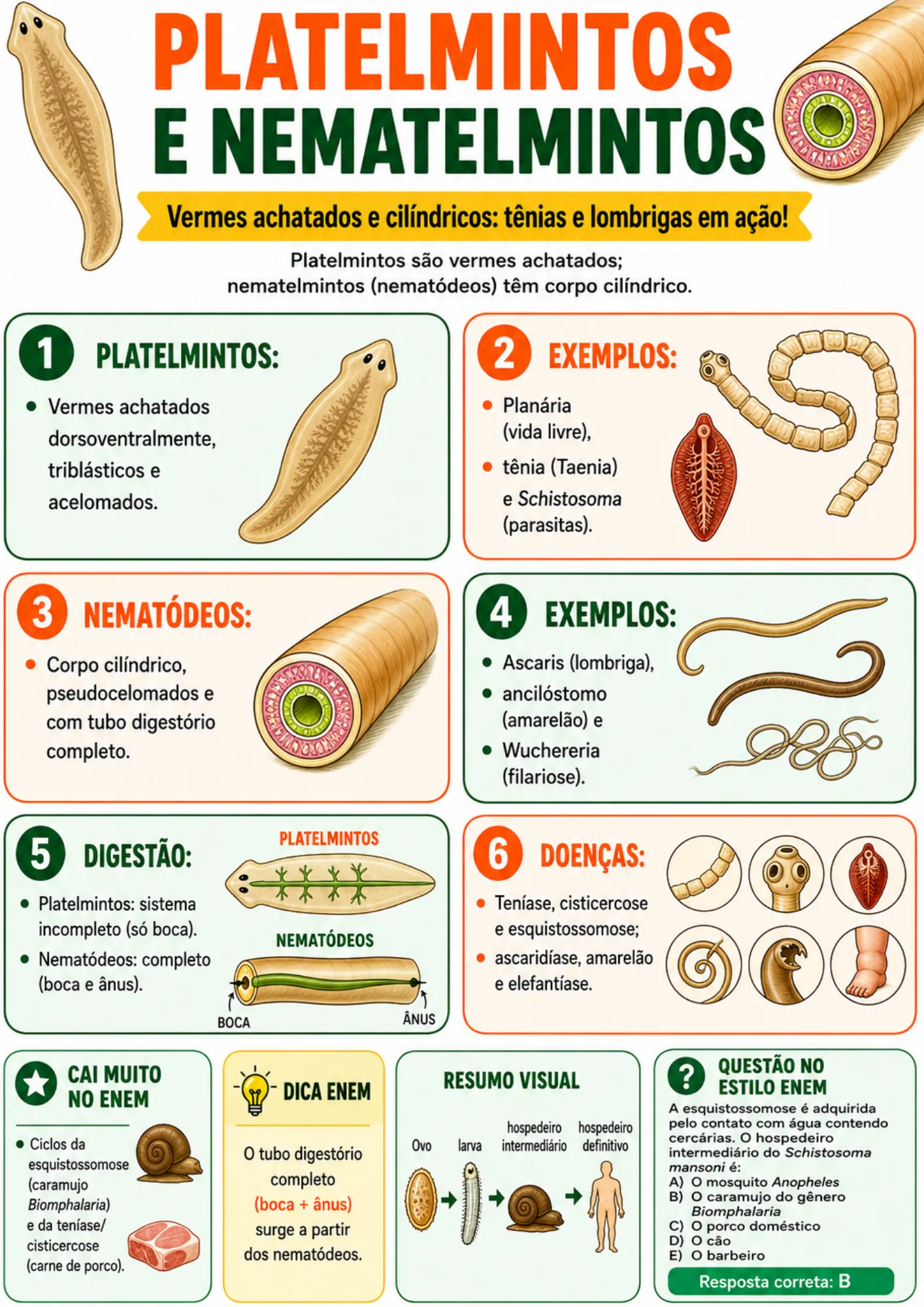 Módulo Zoologia